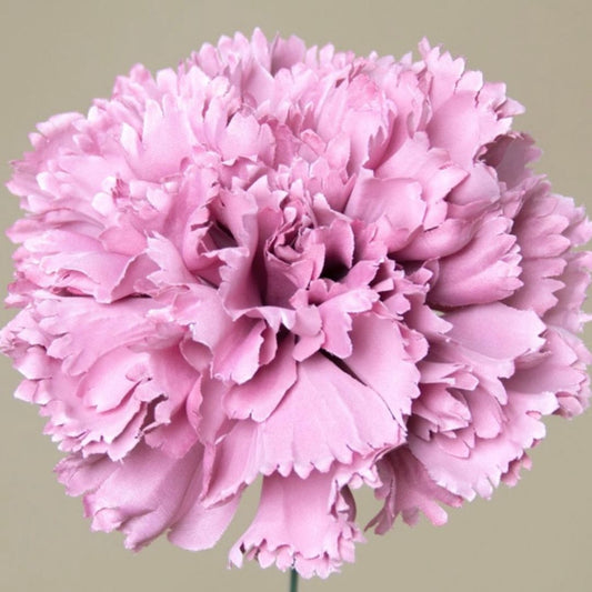 Flor de Flamenca (Clavel) – Disponible en Varios Colores