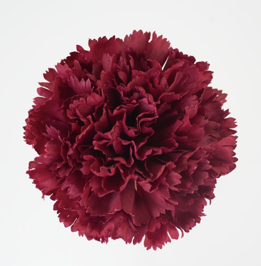 Flor de Flamenca (Clavel) – Disponible en Varios Colores