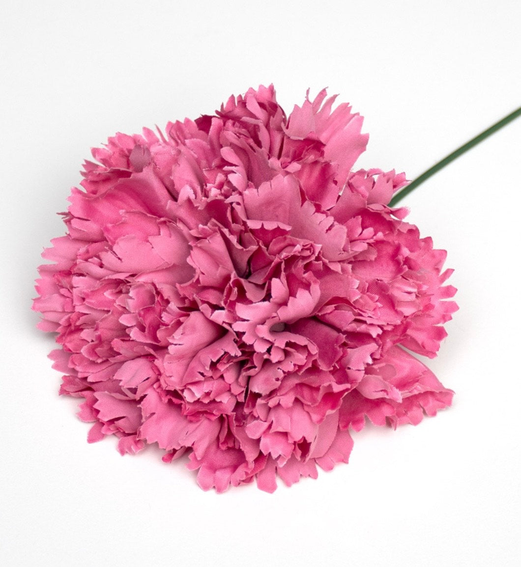 Flor de Flamenca (Clavel) – Disponible en Varios Colores