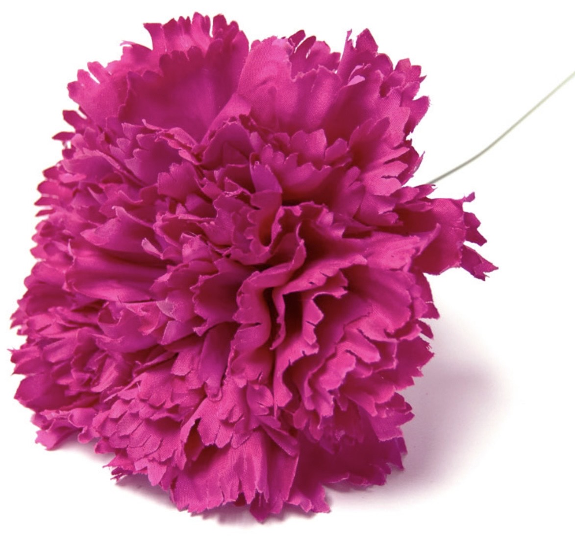 Flor de Flamenca (Clavel) – Disponible en Varios Colores