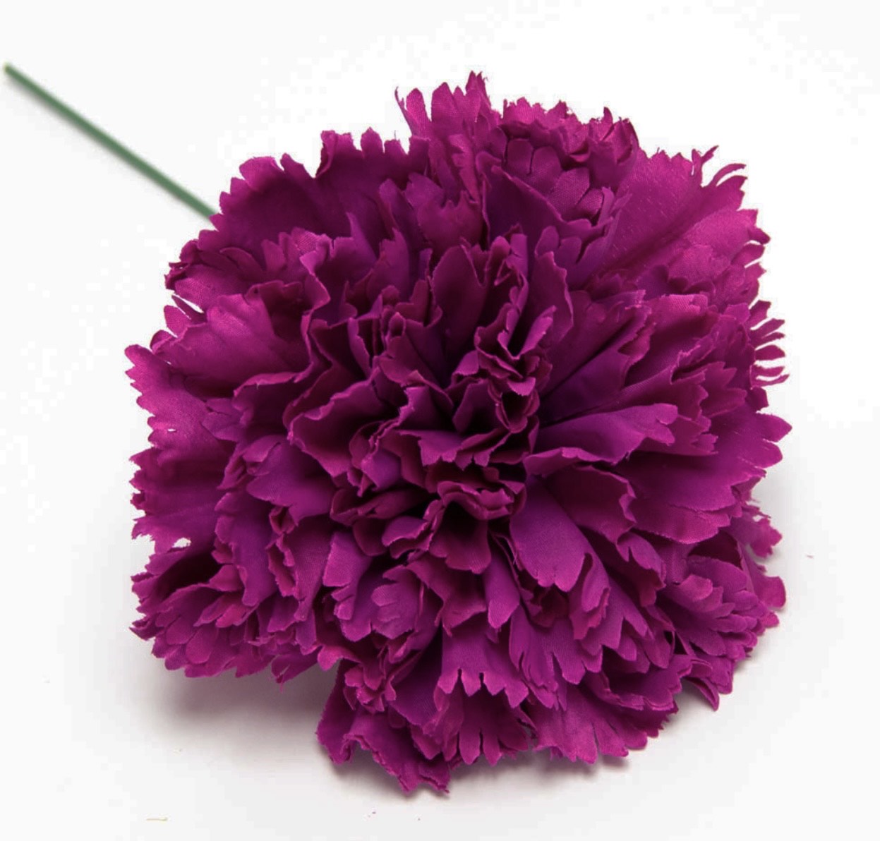 Flor de Flamenca (Clavel) – Disponible en Varios Colores