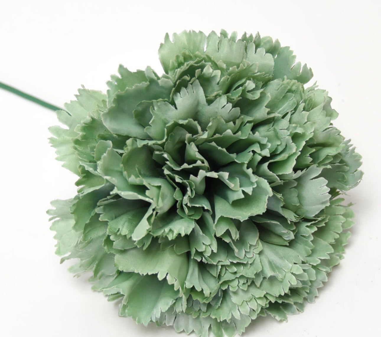 Flor de Flamenca (Clavel) – Disponible en Varios Colores