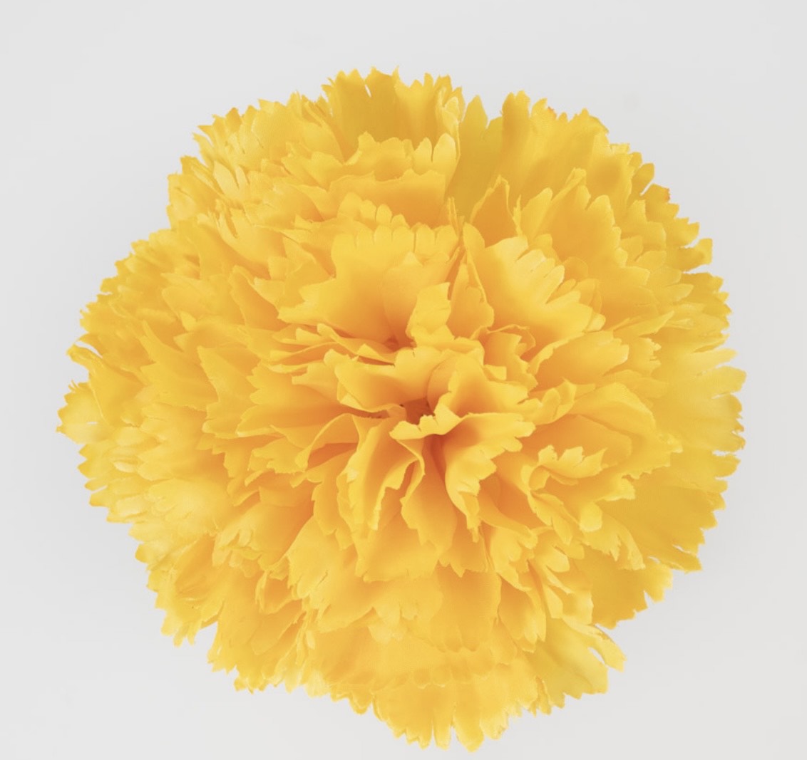 Flor de Flamenca (Clavel) – Disponible en Varios Colores